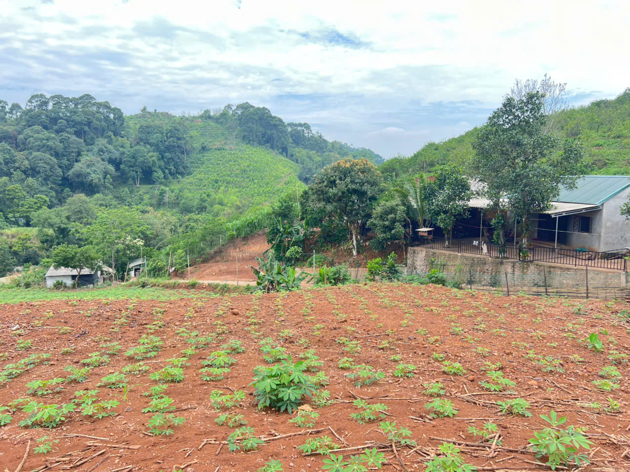 Bán 3330M_sẵn 400M thổ cư đất view thung lũng ruộng bậc thang siêu đẹp_Cao Phong Hoà Bình_1,x tỷ - Ảnh 3